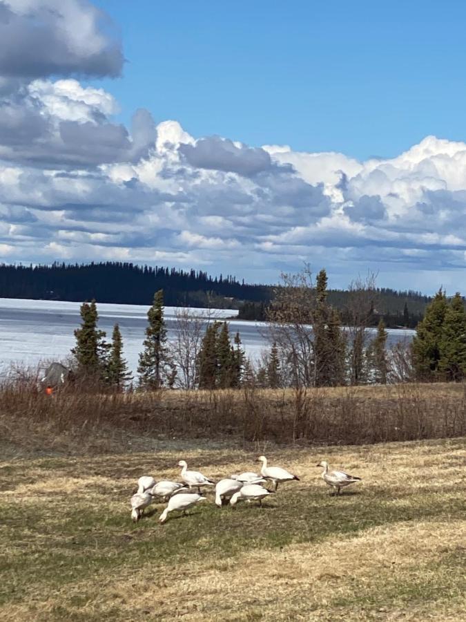 Tolsona Lake Lodge غلينالين المظهر الخارجي الصورة