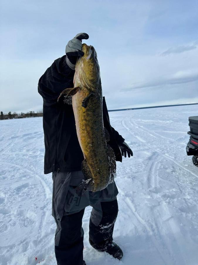 Tolsona Lake Lodge غلينالين المظهر الخارجي الصورة